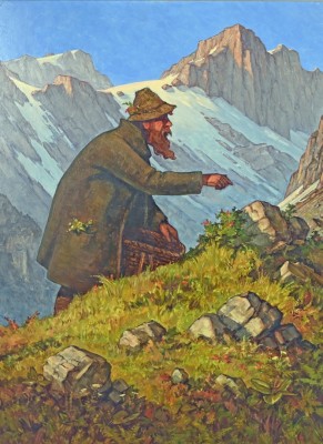 Müller, H. (20. Jahrhundert) Der Kräutersammler in Tracht im Hochgebirge unterwegs. Ölgemälde auf Platte. Unten links signiert. Gemälde 55 x 40 cm, Rahmen 62 x 47 cm.