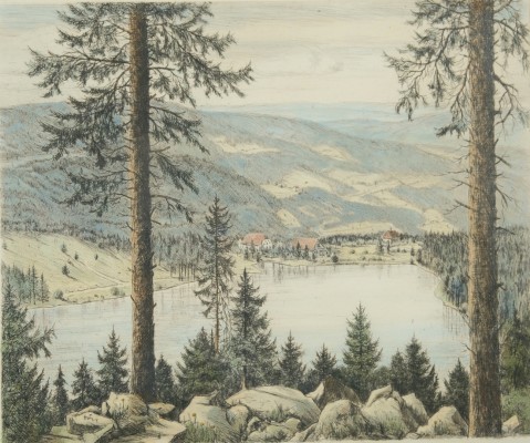 Dörr, Ferdinand (1880-1968) Schwarzwald-See, Radierung, handkoloriert.