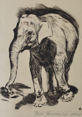 Anonym (20. Jahrhundert) Elefant, Radierung, 1928.