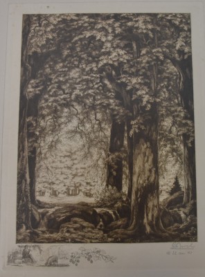 Broel, Georg (1884-1940) Waldlichtung, Kupferstich.