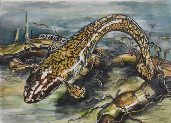 Kundry (geboren 1942) Molch, Aquarell, 1998.