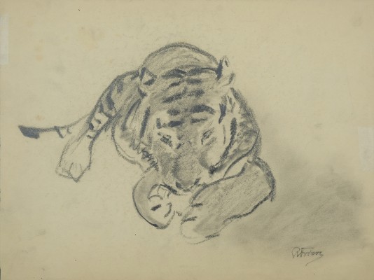 Friese, Richard Bernhard Louis (1854-1918) Fressender Tiger, Bleistift auf Papier.