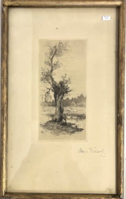 von Fichard, Maximilian (1836-1923) Knorriger Baum, Radierung, 1913.